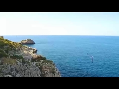 শিশু স্পঞ্জ