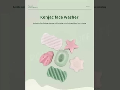 নতুন স্পঞ্জ